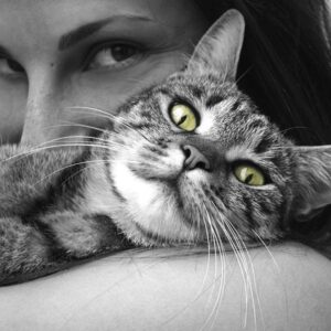 Cat CPR and FIrst Aid by Pet4CPR