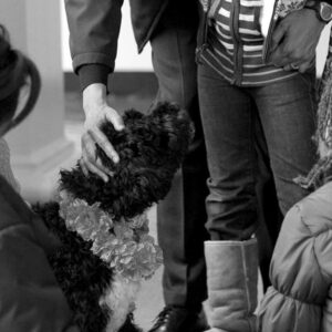 Family of Four Discounted Pet CPR and First AidCourse